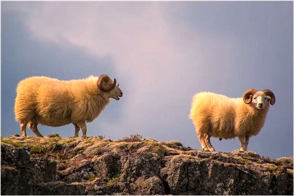 夢到了有帥哥喜歡我們代表著什麼_周公解夢官網