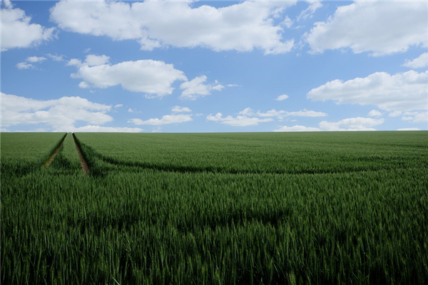 夢見量地是什麼意思_周公解夢