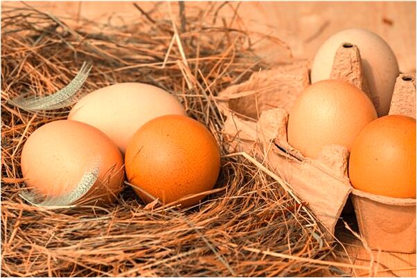 夢到佛經的字發光有什麼預兆_周公解夢官網