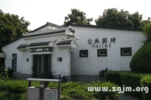 Dream of public toilets
