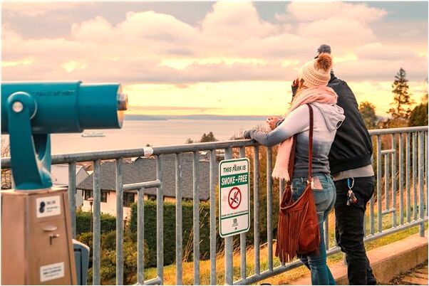 夢到橄欖樹下掉下很多橄欖有什麼寓意嗎？_周公解夢官網