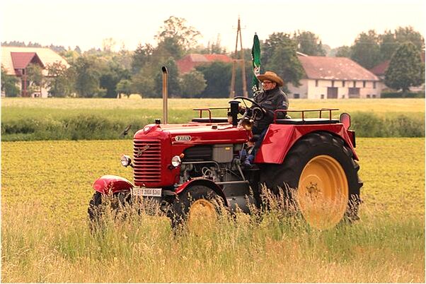 夢到了蟲子在腿上會是什麼預兆_周公解夢官網