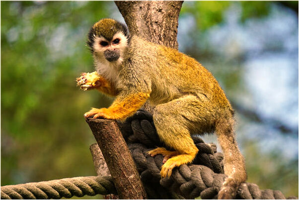 夢到逢凶化吉是好事還是壞事_周公解夢官網