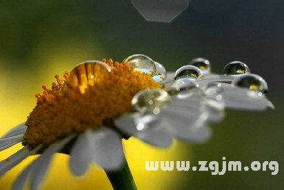 12星座的家庭歸屬感是什麼?_十二星座