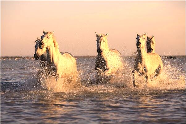 夢見當了上司的小三代表著什麼？_周公解夢官網