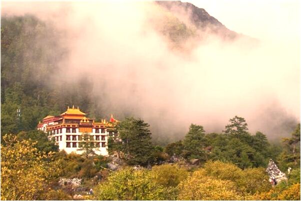 夢到了別人家的小男孩死了好不好_周公解夢官網