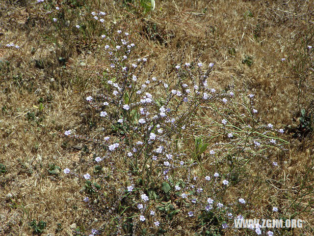 夢見手指頭_周公解夢夢到手指頭是什麼意思_做夢夢見手指頭好不好_周公解夢官網