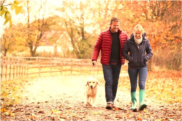 夢到了四五隻貓在身上爬會有什麼預兆_周公解夢官網