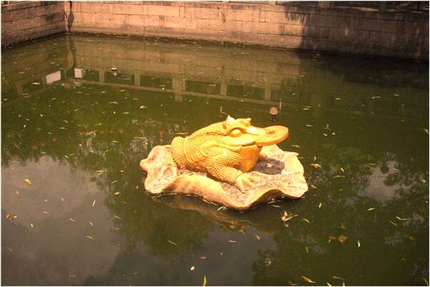 夢到操不認識的女人意味著什麼_周公解夢官網