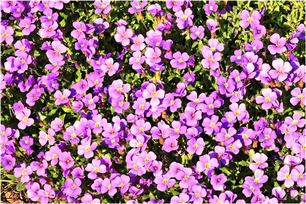 夢到停車場有什麼徵兆_周公解夢官網