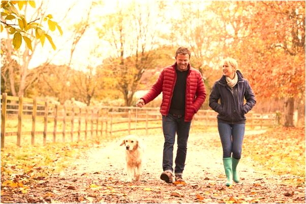 夢見撞車被人打是什麼意思？_周公解夢官網