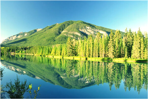 夢到了自己的鼻子是隆過的是什麼徵兆_周公解夢官網