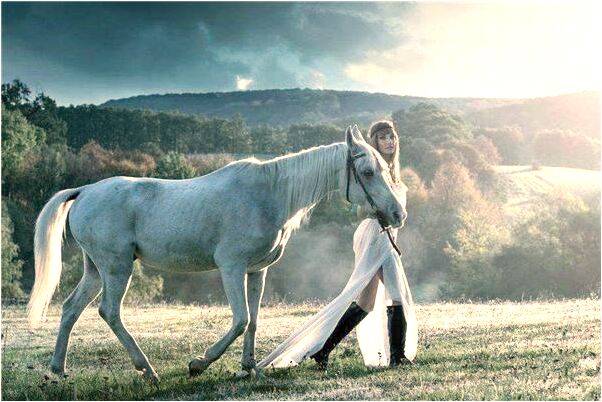 夢到熟人殺人藏屍預示著什麼_周公解夢官網