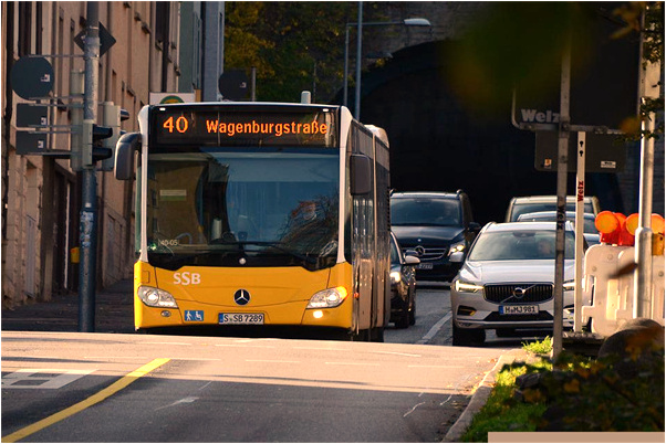 夢到狗褪毛預示著什麼_周公解夢官網