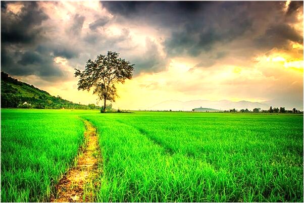 夢到了壞朋友代表著什麼_周公解夢官網