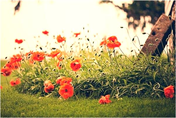 夢見準備給朋友當伴娘代表著什麼？_周公解夢官網