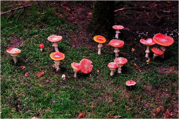 夢見男友送自己手錶是什麼徵兆_周公解夢官網