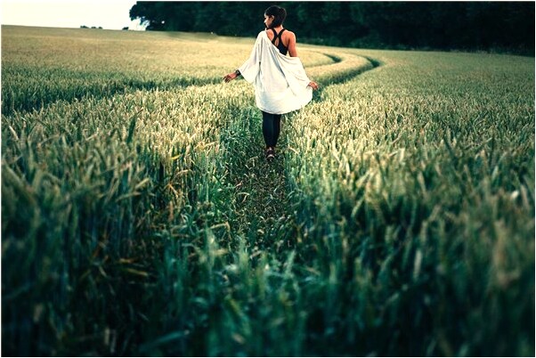 夢到蟹爪蘭花有什麼寓意嗎？_周公解夢官網