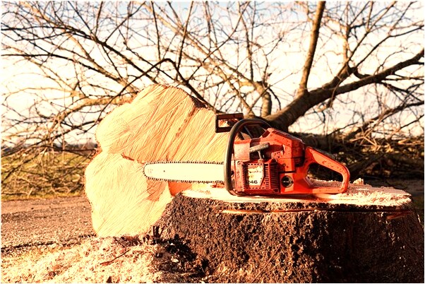 夢到河水浪花會是什麼預兆_周公解夢官網