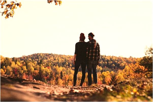 夢到家裡很多甘樹葉怎么回事_周公解夢官網