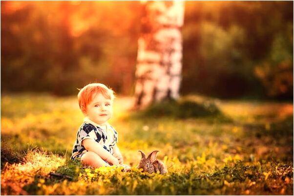 夢到了大狗親我的臉是什麼意思_周公解夢官網