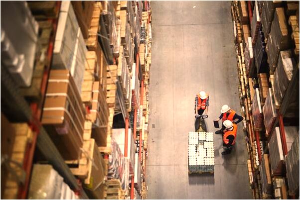 夢見很多母獅子咬我什麼預兆_周公解夢官網