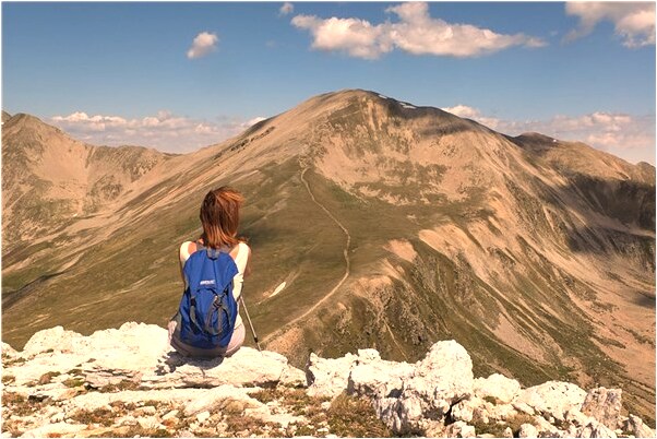 夢見小狗追我叫代表什麼_周公解夢官網