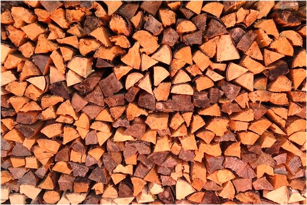 夢到有的打電話意味著什麼_周公解夢官網