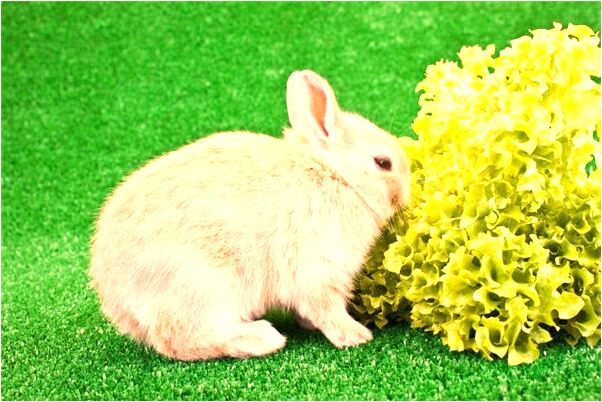 夢到被陌生人幫助怎么樣_周公解夢官網