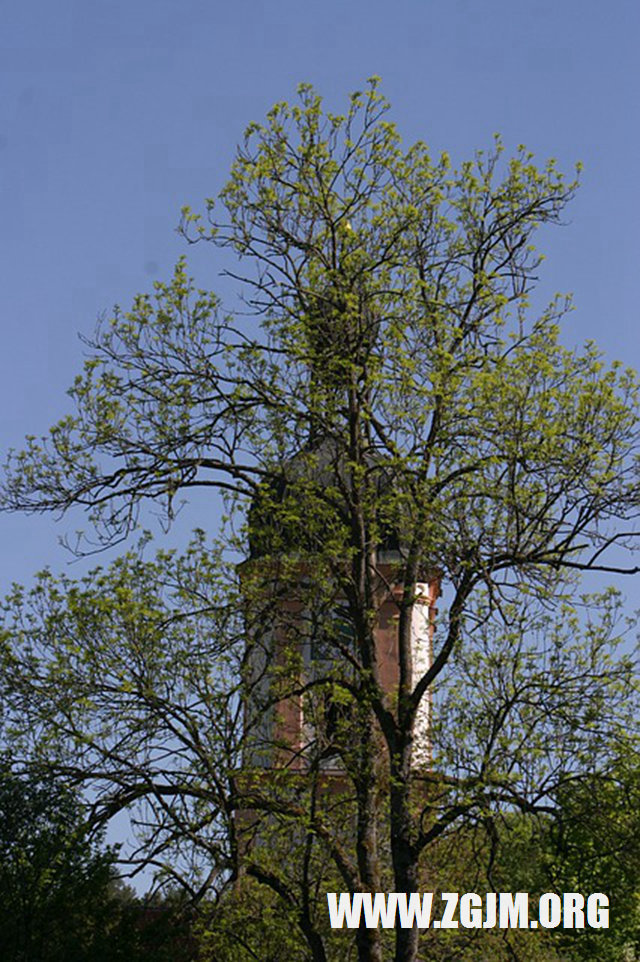 夢見同事吵架_周公解夢夢到同事吵架是什麼意思_做夢夢見同事吵架好不好_周公解夢官網