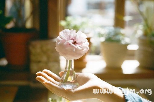 十二星座如是說_十二星座