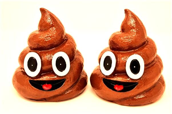 夢到穿李子會是什麼預兆_周公解夢官網