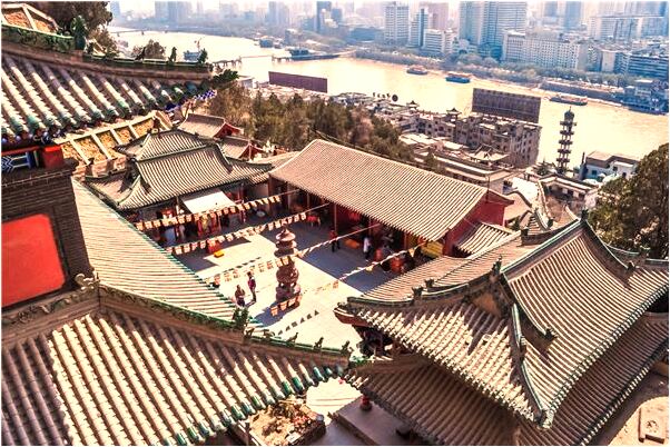 夢到了砍柴幾條大蛇代表著什麼_周公解夢官網