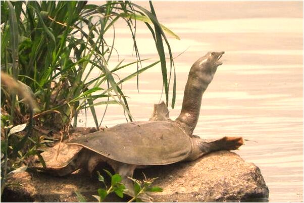夢到了和死人在一起抽煙怎么回事_周公解夢官網
