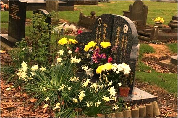 夢到天井開裂代表著什麼？_周公解夢官網