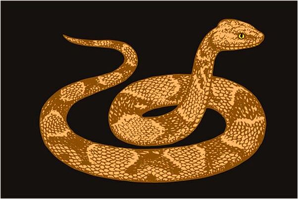 夢到北京天壇醫院面癱系是好的徵兆嗎_周公解夢官網