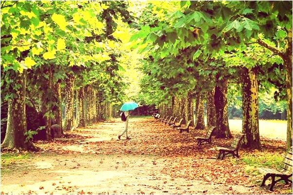 夢到了提著禮物是什麼意思_周公解夢官網