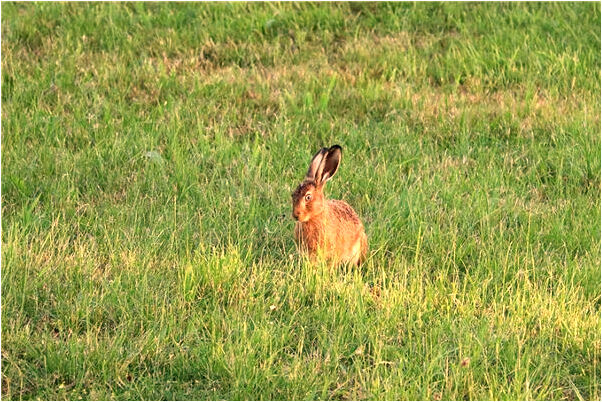夢到了自己又有了孩子是好事還是壞事_周公解夢官網