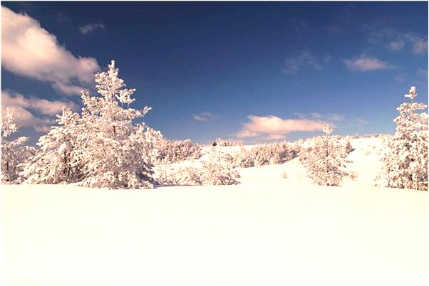 夢到了小河和糞河並排有什麼說法_周公解夢官網