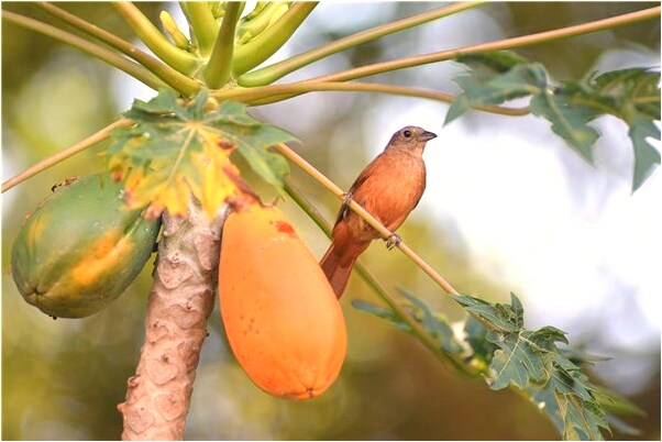 夢見朋友變成骷髏是怎么回事_周公解夢官網