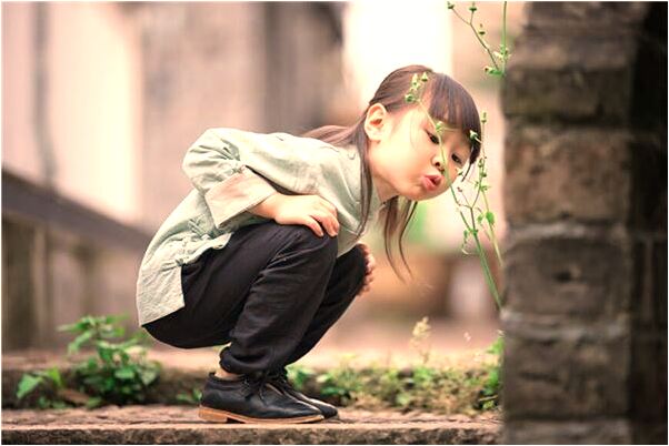 夢到了馬踢人代表著什麼_周公解夢官網