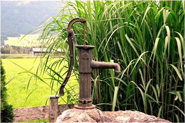 夢到捉龍龜被咬腳預示著什麼_周公解夢官網