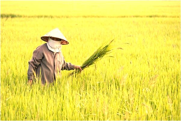 夢見自己長發變成了短髮是什麼徵兆_周公解夢官網