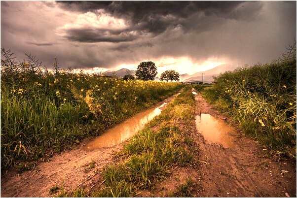 夢到了別人送我佛珠是什麼意思_周公解夢官網