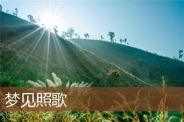 夢見照歌_周公解夢