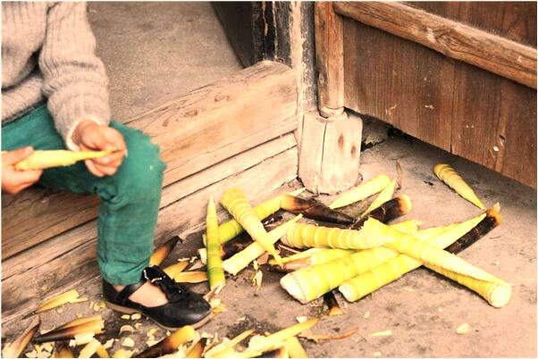 夢到給死去的老人錢有什麼意義嗎_周公解夢官網