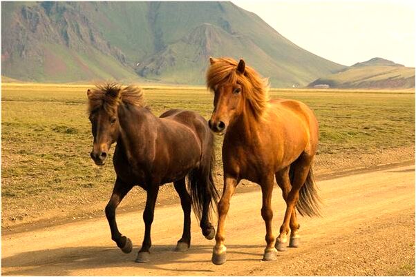 夢見在手上收到刑罰沒見血是什麼徵兆_周公解夢官網