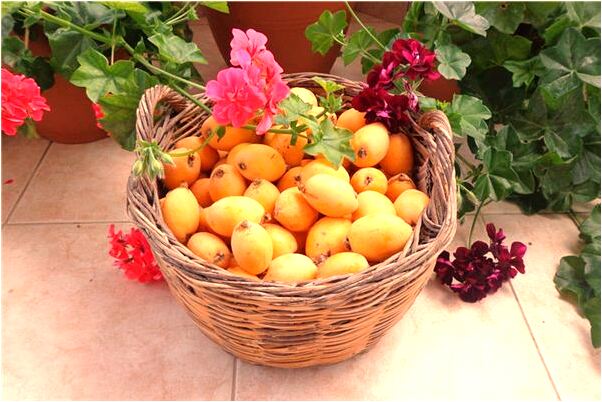 夢到了帶小孩餵奶啥意思_周公解夢官網