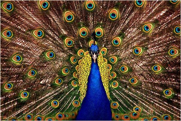 夢見別人幫我洗頭的預兆_周公解夢官網