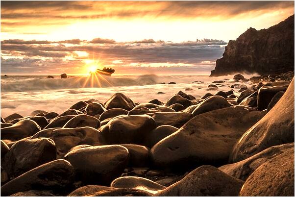 夢到開槍打傷狗有什麼預示嗎_周公解夢官網